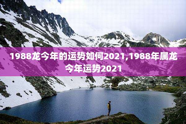 1988龙今年的运势如何2021,1988年属龙今年运势2021