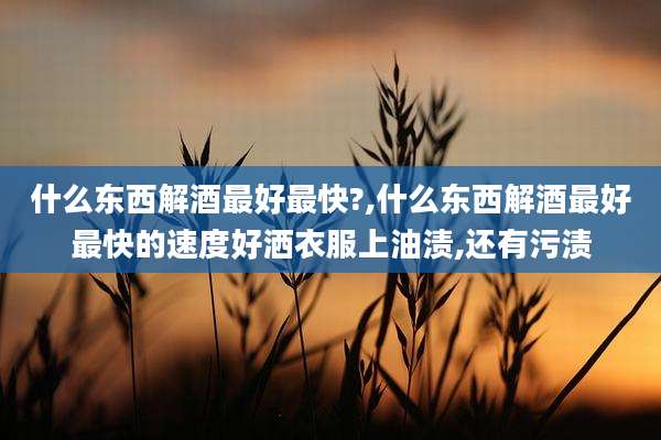 什么东西解酒最好最快?,什么东西解酒最好最快的速度好洒衣服上油渍,还有污渍