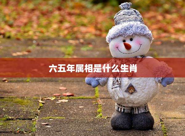 六五年属相是什么生肖