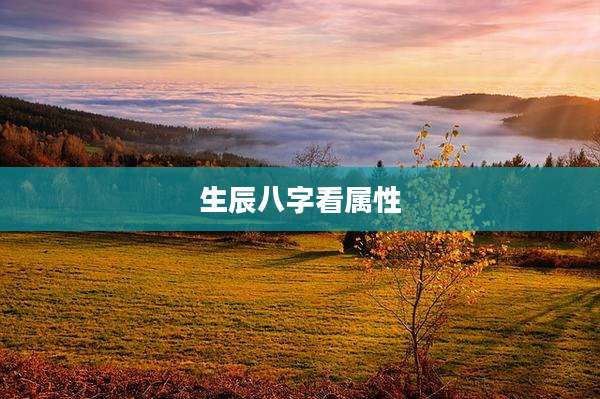 生辰八字看属性