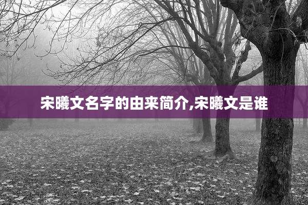 宋曦文名字的由来简介,宋曦文是谁