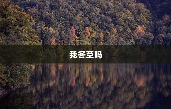 我冬至吗