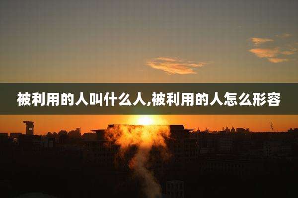 被利用的人叫什么人,被利用的人怎么形容