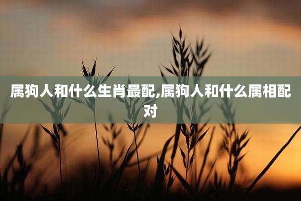 属狗人和什么生肖最配,属狗人和什么属相配对