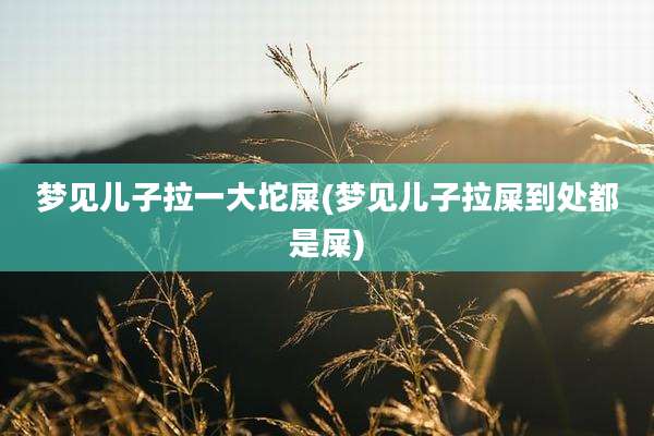 梦见儿子拉一大坨屎(梦见儿子拉屎到处都是屎)