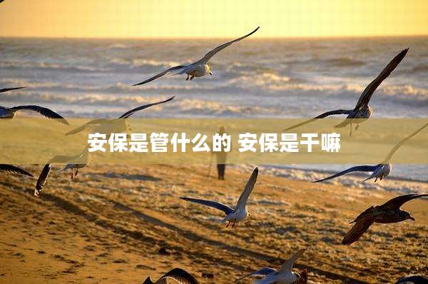安保是管什么的 安保是干嘛