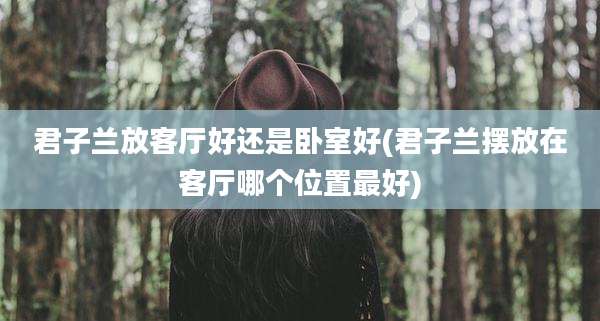 君子兰放客厅好还是卧室好(君子兰摆放在客厅哪个位置最好)