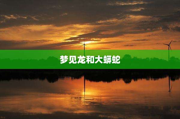 梦见龙和大蟒蛇