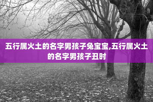 五行属火土的名字男孩子兔宝宝,五行属火土的名字男孩子丑时