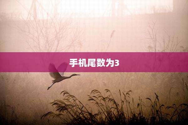 手机尾数为3