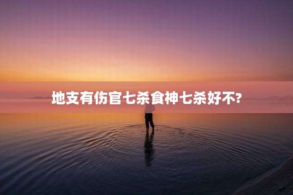 地支有伤官七杀食神七杀好不?