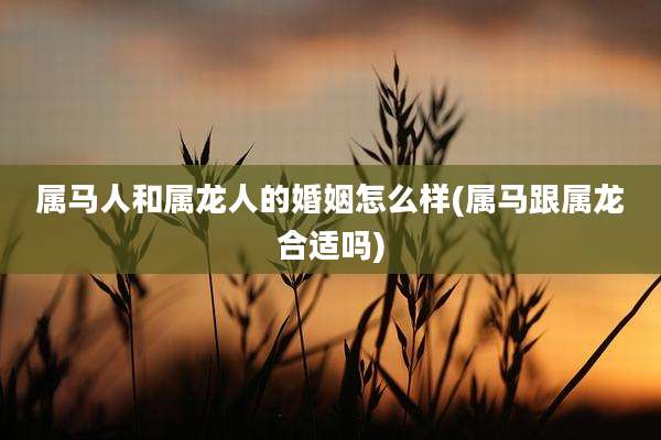 属马人和属龙人的婚姻怎么样(属马跟属龙合适吗)