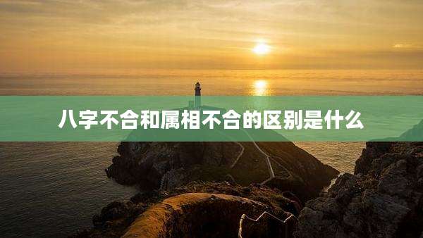 八字不合和属相不合的区别是什么
