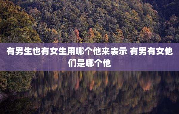 有男生也有女生用哪个他来表示 有男有女他们是哪个他
