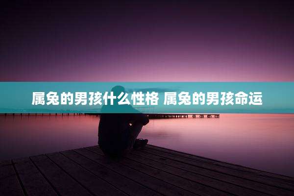 属兔的男孩什么性格 属兔的男孩命运