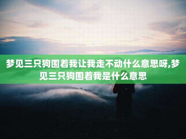 梦见三只狗围着我让我走不动什么意思呀,梦见三只狗围着我是什么意思