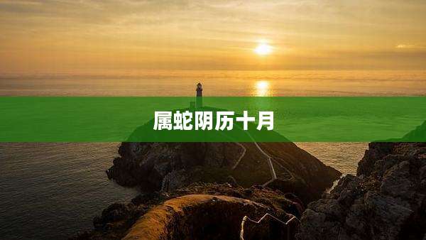 属蛇阴历十月