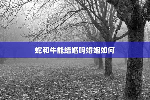 蛇和牛能结婚吗婚姻如何
