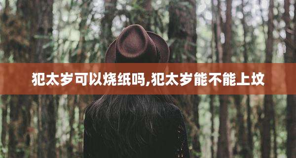 犯太岁可以烧纸吗,犯太岁能不能上坟