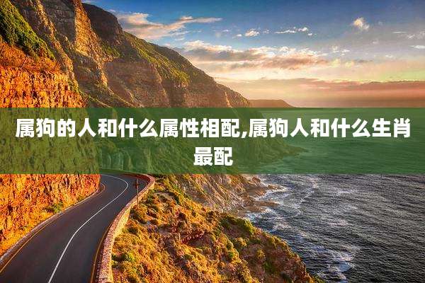 属狗的人和什么属性相配,属狗人和什么生肖最配