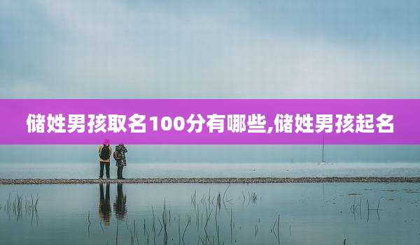 储姓男孩取名100分有哪些,储姓男孩起名