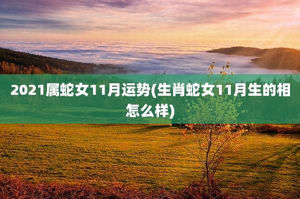 2021属蛇女11月运势(生肖蛇女11月生的相怎么样)