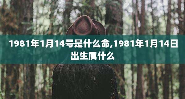 1981年1月14号是什么命,1981年1月14日出生属什么