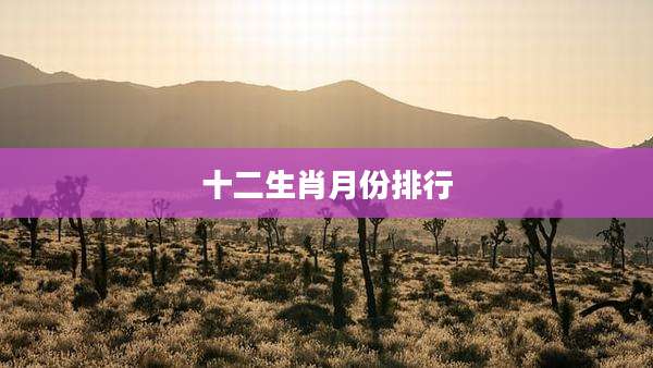 十二生肖月份排行