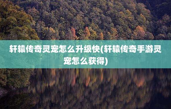 轩辕传奇灵宠怎么升级快(轩辕传奇手游灵宠怎么获得)
