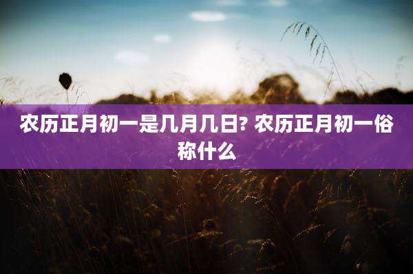 农历正月初一是几月几日? 农历正月初一俗称什么