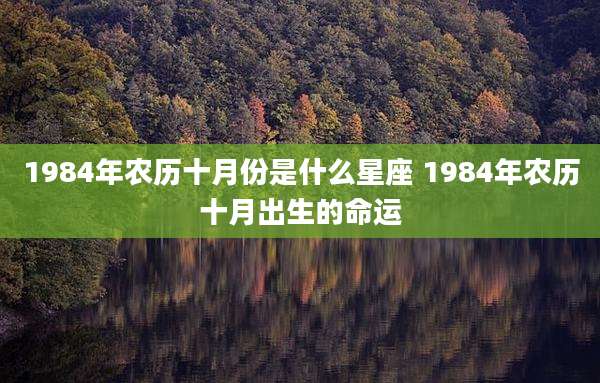 1984年农历十月份是什么星座 1984年农历十月出生的命运