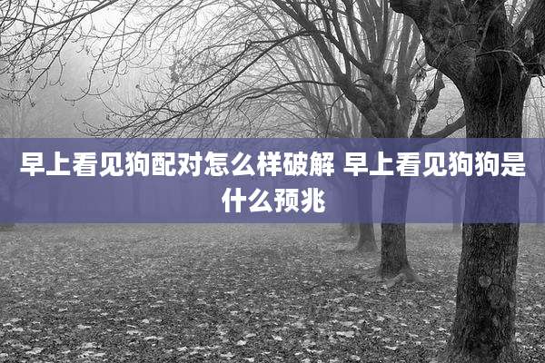 早上看见狗配对怎么样破解 早上看见狗狗是什么预兆