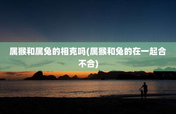 属猴和属兔的相克吗(属猴和兔的在一起合不合)