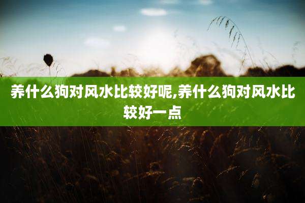 养什么狗对风水比较好呢,养什么狗对风水比较好一点