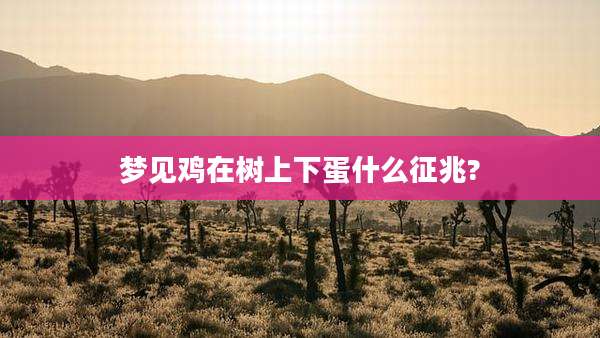 梦见鸡在树上下蛋什么征兆?