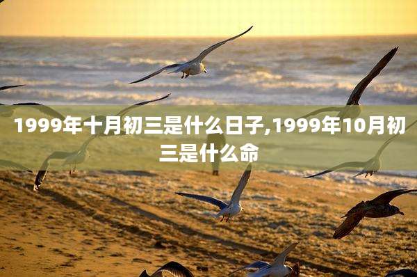 1999年十月初三是什么日子,1999年10月初三是什么命