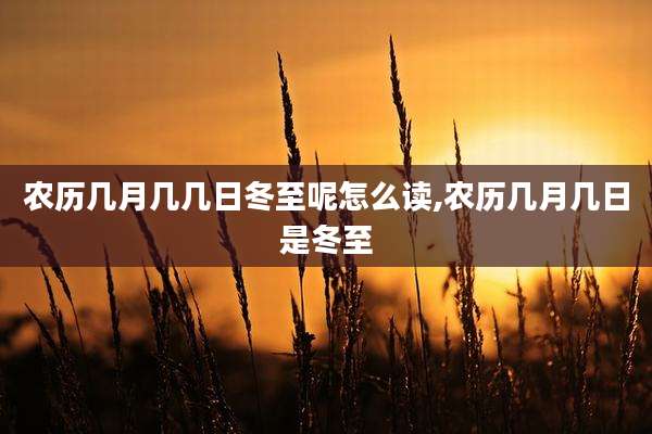 农历几月几几日冬至呢怎么读,农历几月几日是冬至