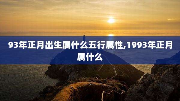 93年正月出生属什么五行属性,1993年正月属什么