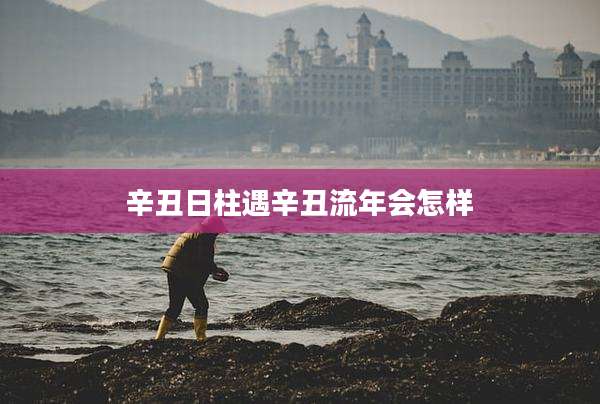 辛丑日柱遇辛丑流年会怎样