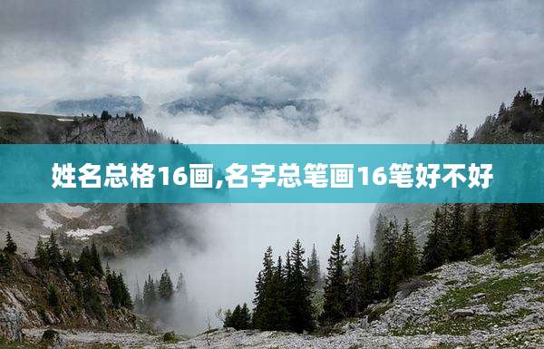 姓名总格16画,名字总笔画16笔好不好