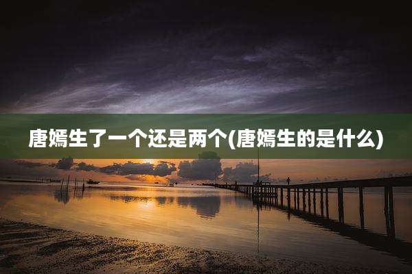 唐嫣生了一个还是两个(唐嫣生的是什么)