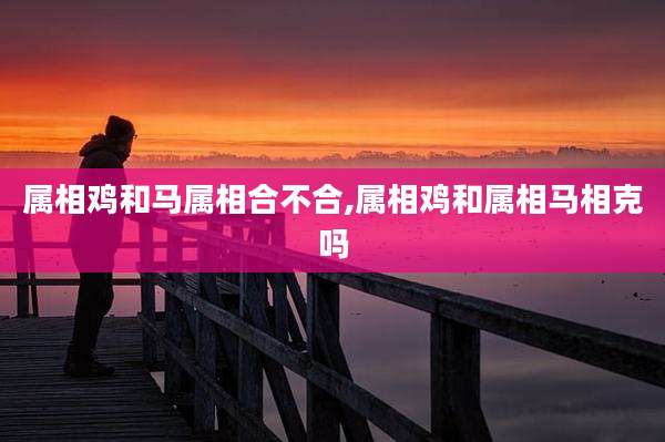 属相鸡和马属相合不合,属相鸡和属相马相克吗