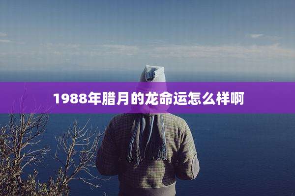 1988年腊月的龙命运怎么样啊