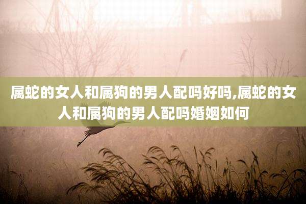 属蛇的女人和属狗的男人配吗好吗,属蛇的女人和属狗的男人配吗婚姻如何
