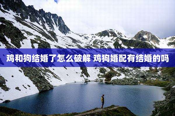 鸡和狗结婚了怎么破解 鸡狗婚配有结婚的吗