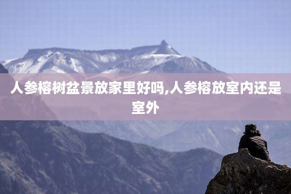 人参榕树盆景放家里好吗,人参榕放室内还是室外