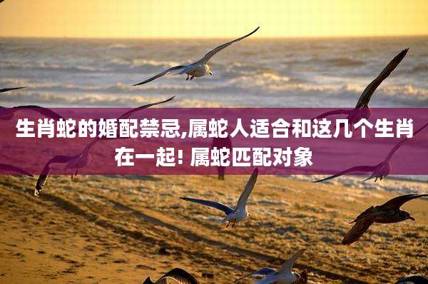 生肖蛇的婚配禁忌,属蛇人适合和这几个生肖在一起! 属蛇匹配对象