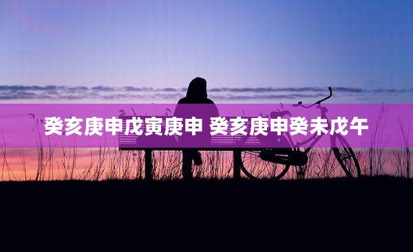 癸亥庚申戊寅庚申 癸亥庚申癸未戊午