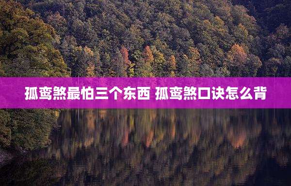孤鸾煞最怕三个东西 孤鸾煞口诀怎么背