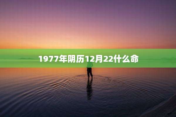 1977年阴历12月22什么命